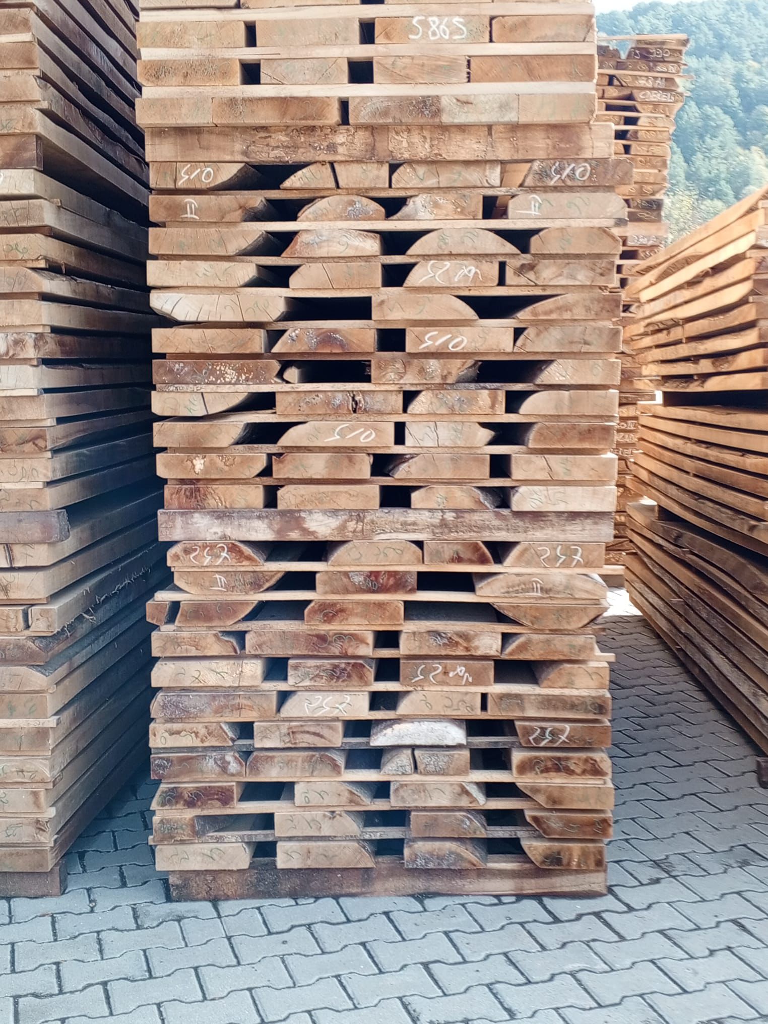 Ceyhun Orman Ürünleri